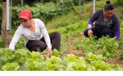 Agricultura sostenible en Venezuela: Un reto y una oportunidad